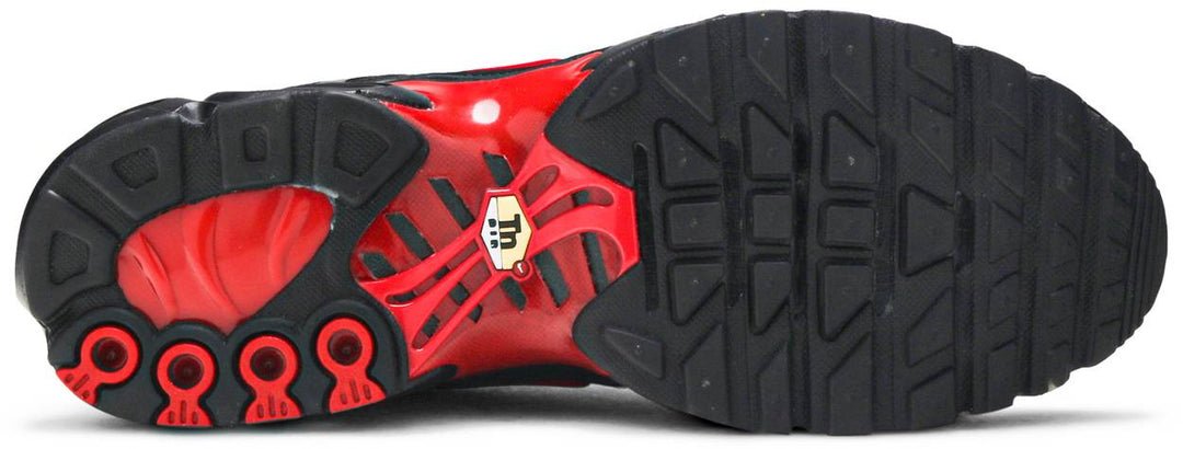 Nike Air Max plus TN “Hates” sneakers